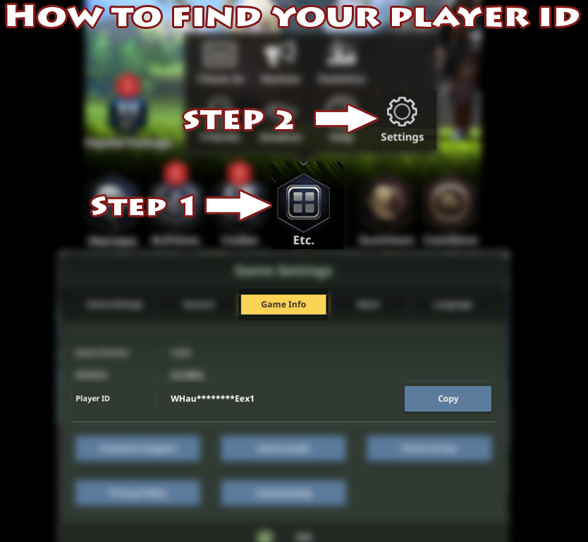 Example of where to find your Player ID in the game